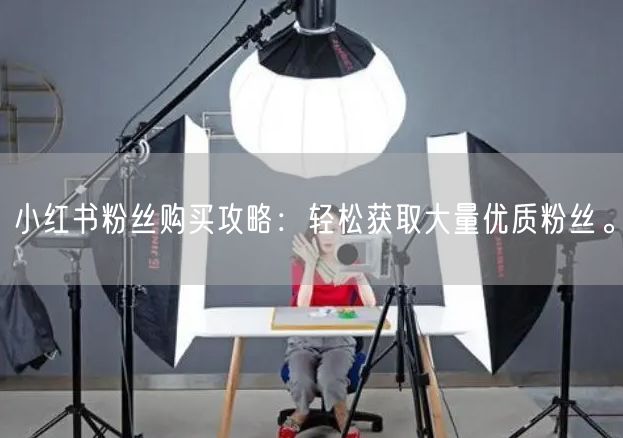 小红书粉丝购买攻略：轻松获取大量优质粉丝。