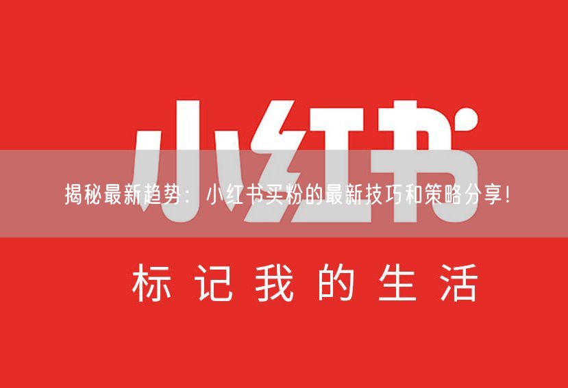 揭秘最新趋势：小红书买粉的最新技巧和策略分享！
