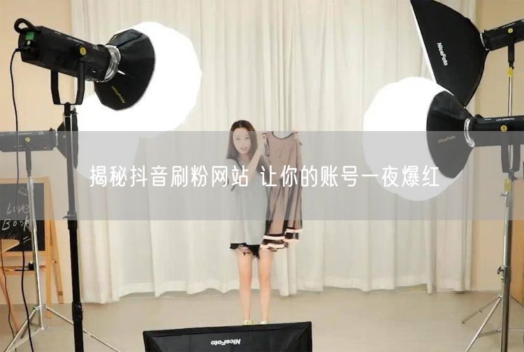 揭秘抖音刷粉网站 让你的账号一夜爆红