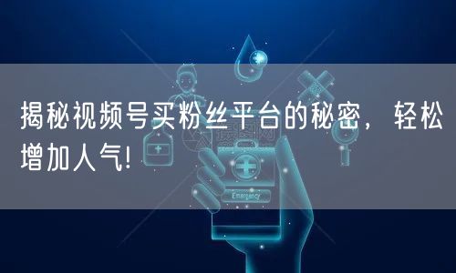揭秘视频号买粉丝平台的秘密，轻松增加人气!