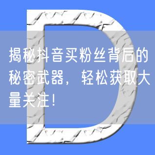揭秘抖音买粉丝背后的秘密武器，轻松获取大量关注！