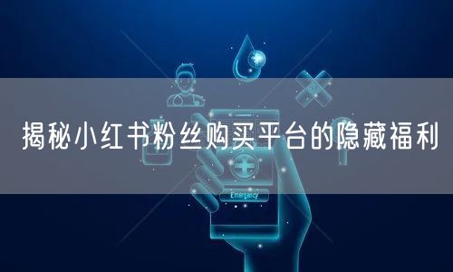 揭秘小红书粉丝购买平台的隐藏福利