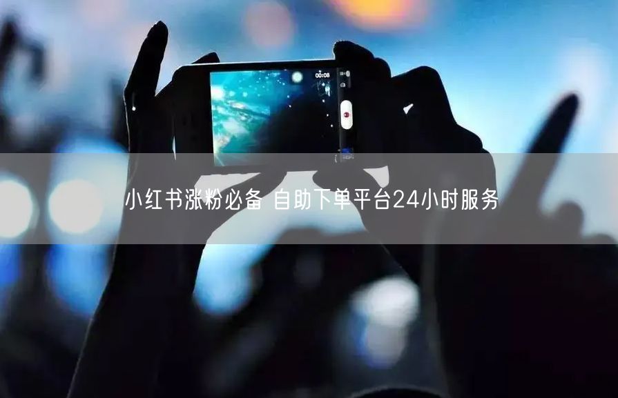 小红书涨粉必备 自助下单平台24小时服务