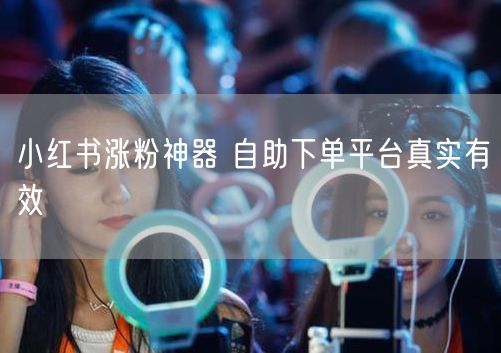 小红书涨粉神器 自助下单平台真实有效