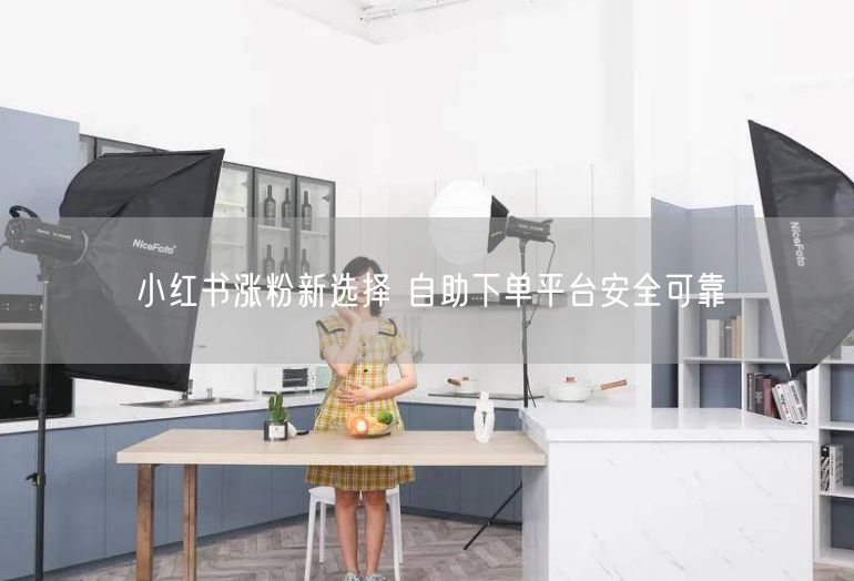 小红书涨粉新选择 自助下单平台安全可靠