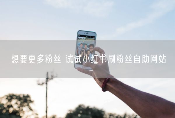 想要更多粉丝 试试小红书刷粉丝自助网站