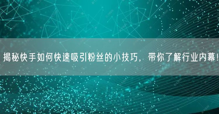 揭秘快手如何快速吸引粉丝的小技巧，带你了解行业内幕！